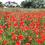 Da Nella Dimora Di Campagna