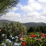 Sweet Tuscany