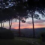 Sweet Tuscany