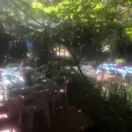 Appartamento Oasi La Bouganville