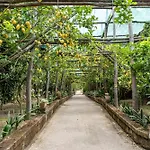 Romantic Garden