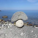 Il Mirto
