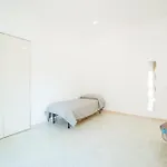 Santo 310
