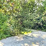 Villa Il Platano Con Giardino Beachfront