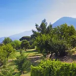 Amore Rentals - Villa Grazia