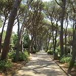 Apartment Eco Del Mare By Interhome