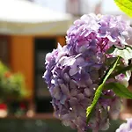 B&B Rosaria Sea View