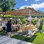 Il Vigneto Di Nonno Pietro