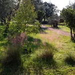 Agriturismo La Facenda