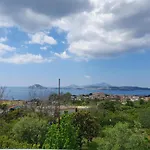 Villa Giulia