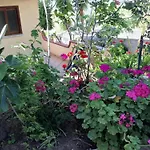 Welcoming House In Vibo Valentia With Shared Pool
