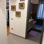 Cucciola Arlecchino