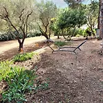 Charming House In Lacona + Garden