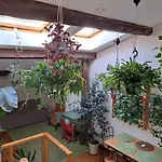 La Casa Verde Nel Centro Storico