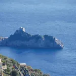 Gelso Rosso