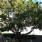 Appartamento L'Arancio