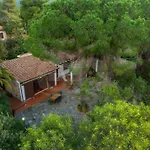 Villa Ai Pini A Punta Perla - Goelba