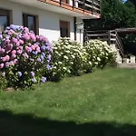 Appartamento Immerso Nel Verde