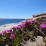 Casa Del Sole