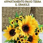 La Casa Dei Gabbiani