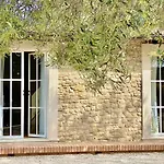 Il Palmento Di Villa Clelia 1936