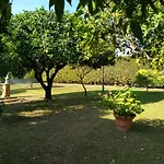 Da Ninnilla Holiday Home Scafati