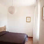 I Fiori Di Salici