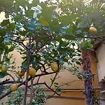 La Casa Del Pittore