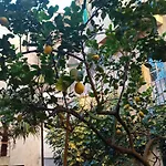 La Casa Del Pittore