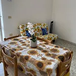 Ponzamania Da Gino