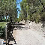 Villa Arborea In Sperlonga