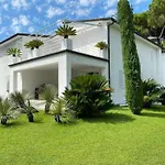 Lucca Splendory Nest