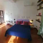 Rooftop Attic