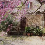 Celestina- Agriturismo La Valentina