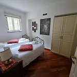 Paulonia