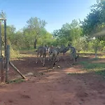 Call Of The Wild Lodge