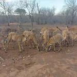Call Of The Wild Lodge
