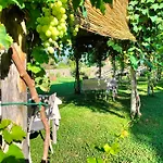 Badia Giulia Prestigious Historical B&B, Camaiore - Adults Only - No Pets