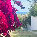 Villa A Schiera Ansedonia