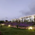 Mamasosa'S Villas - Large Apartment