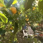 Il Giardino Nascosto