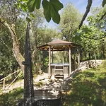 New Fine House With Newly Built Garden