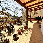 B&B Dora 2,0