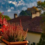 Villa Olmo Cozystay