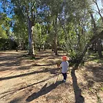 Village Camping Fico D'India