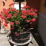 Villetta Sulle Colline Di Sorrento