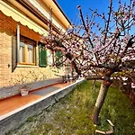 Trilo Michele, In Centro A Sirolo