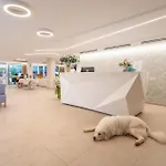 Hotel San Domingo