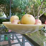 B&B L'Oasi