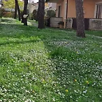 Stella Maris